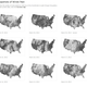 Illustration for article titled A mesmerizing, real-time map of US wind patterns